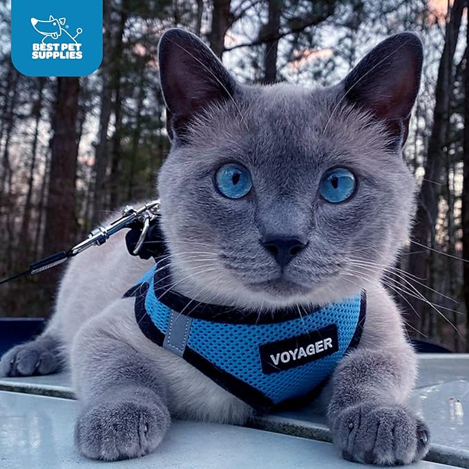 Best Pet Supplies Voyager Step-in Air Harness - All Weather Mesh, Reflective, No Pull Harness for Dogs, Cats - Secure with Hook & Loop Fastener, Buckle, Double D-Rings - Baby Blue/Black Trim, L