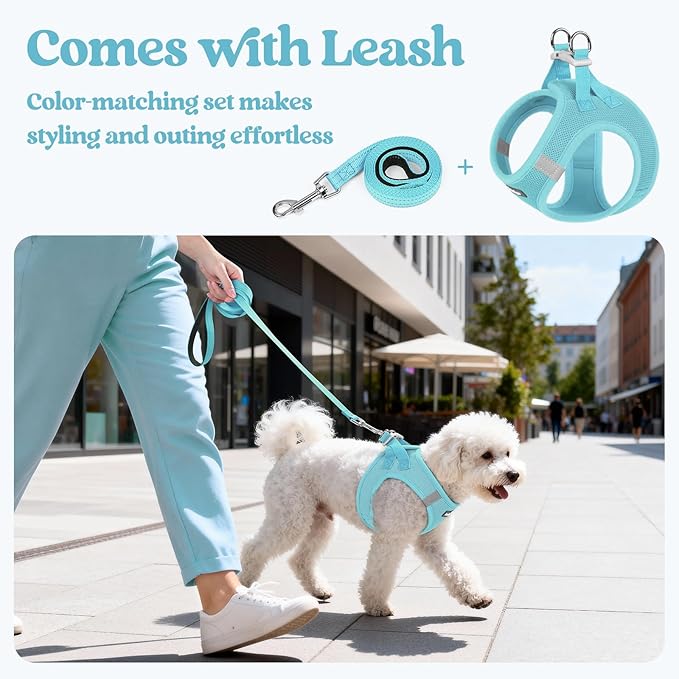 rabbitgoo Dog Harness Small Sized and Leash Set, Step in Soft Light Puppy Vest, Breathable Mesh Pet Harness, Reflective for Safe Easy Walking, Mint Blue S
