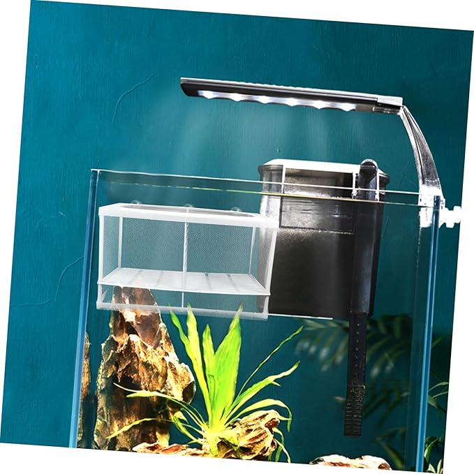 Toyvian 2pcs Aquarium Breeding Box Partition for Fish Tank Accessories Betta Fish Tank Incubator Random Style