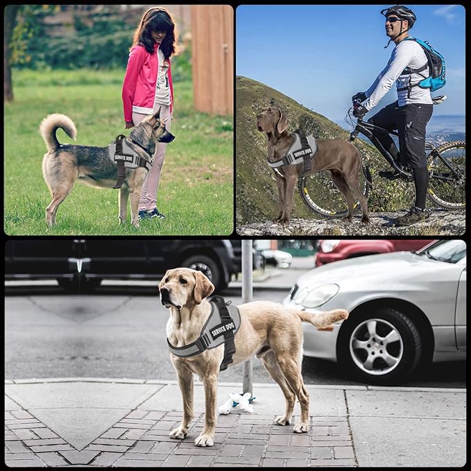 JSXD Dog Harness,No-Pull Service Dog Harness with Handle Adjustable Outdoor Pet Dog Vest 6M Reflective Nylon Material Vest for Breeds,Easy Control for Small Medium Large Dogs