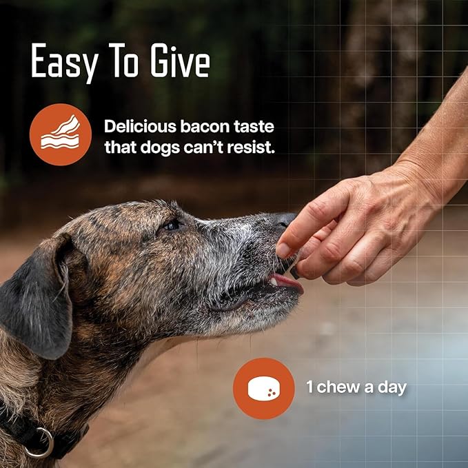 Virbac URSOLYX™ Soft Chews for Dogs | Muscle Health Support for Senior, Active or Recovering Dogs, Medium 30-60lbs | 60 Count 2- Month Supply