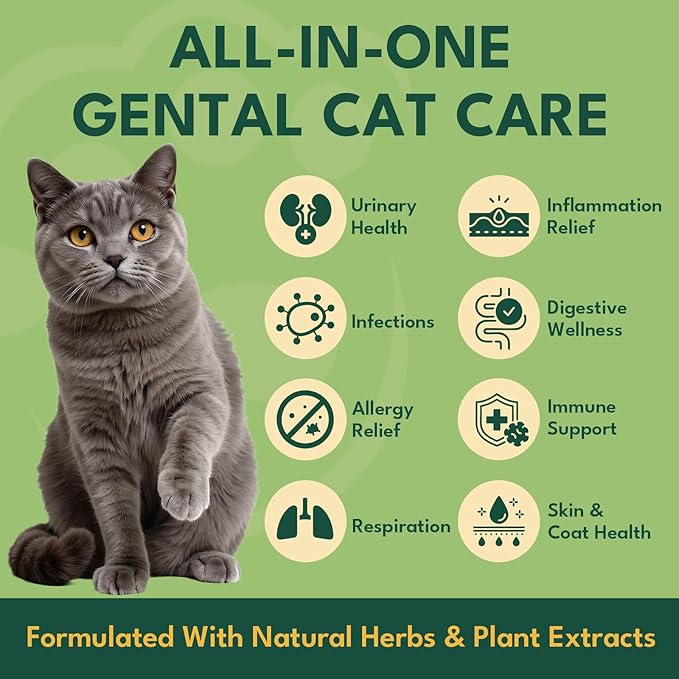 YOTANGO Natural Antibiotics for Cats, Cat Antibiotics for UTI & Itch Support, Immune, Digestive, Allergy, Skin & Coat Support for Cats and Kittens, for All Ages & Breeds (Chicken Flavor-60ml 2 Pack)