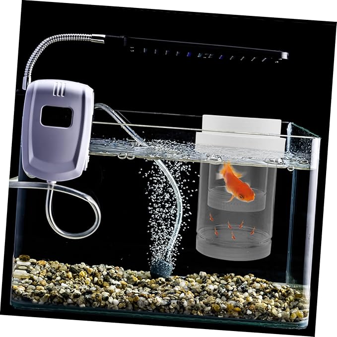 UPKOCH 1 Set Fish Breeding Box: Floating Fish Isolation Box for Aquarium - Breeding and Hatching Incubator for Clownfish Guppy Betta Shrimp