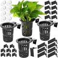 Borlech 2025 New Upgraded Large Aquarium Plant Holder with 1.57-inch Extension Hooks and Suction Cups for Fish Tank Aquaponic Plant Cultivation and Aquascape Accessories Decorations (4 PCS)