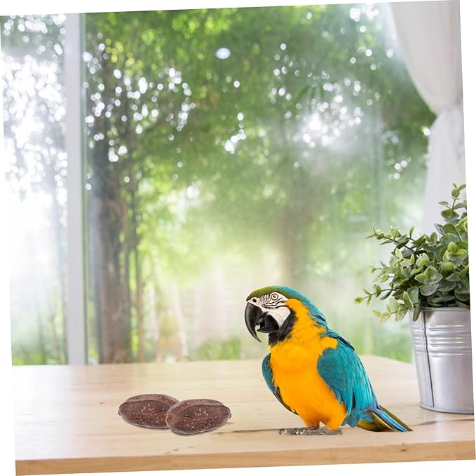 8pcs Natural Dried Fruit Bird Chewing for Parrot Budgie Parakeet Safe Foraging Accessories Healthy Chew for Pet Birds