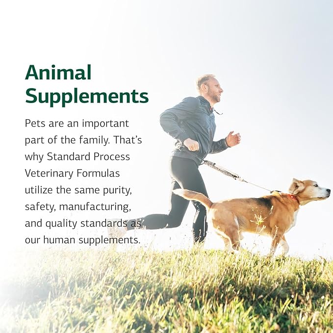 Standard Process Inc. Feline Renal Support - Cat Supplement to Maintain Kidney & Urinary Health, Cat Supplies with Whole-Food Based Ingredients, Feline Supplement to Aid Renal Function - 90 Tablets