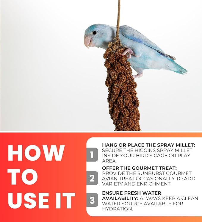 Higgins Spray Millet 6 Ct Bundle with Gourmet Natural Avian Treats –Nutrient-Rich Foraging Treat for Birds, Non-GMO & Pesticide-Free, Easy to Digest – Gift Set (4 Items)