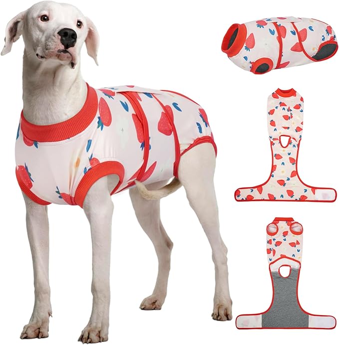 Kuoser Dog Recovery Suit After Surgery, Dog Surgery Suit Female Spay, Male Neuter, Anti-Licking Pet Onesie, Surgical Recovery Bodysuit for Abdominal Wounds,Skin Disease, E-Collar Cone Alternative, 2XL
