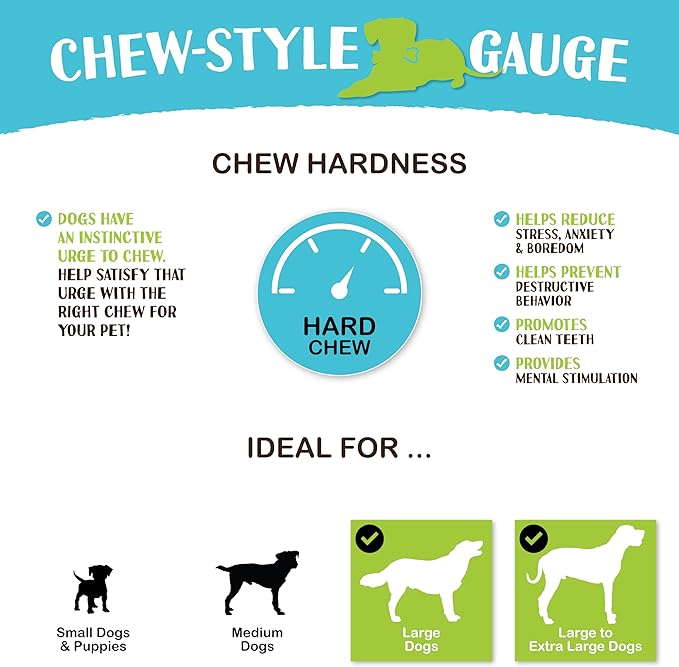 Raw Paws 10-inch Compressed Rawhide Bones for Dogs, 10-Count - Packed in USA - Long Lasting Dog Chews - Natural Pressed Rawhides - Large Dog Bones - Raw Hide for Aggressive Chewers
