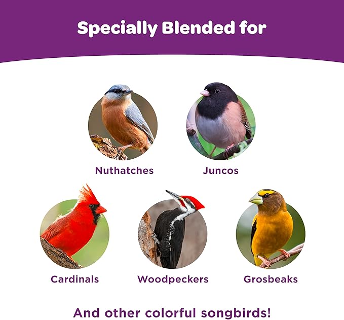Kaytee Wild Bird Nut & Fruit Seed Cake for Cardinals, Nuthatches, Juncos, Woodpeckers, Grosbeaks and More Songbirds, 1.85 Pounds, Pack of 4