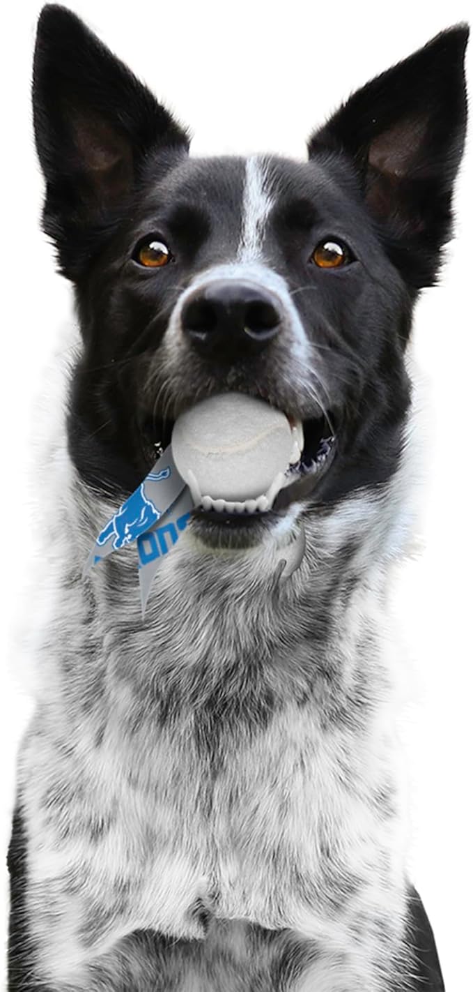Littlearth NFL Pet Ball Launcher