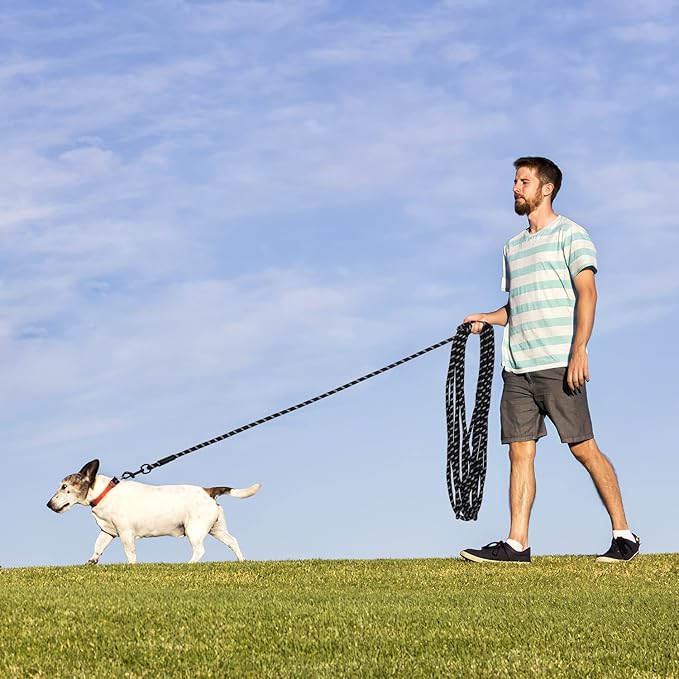 Long Dog Leash for Training 50Ft-Reflective Nylon Rope with Swivel Hook-Recall Agility Lead for Large Small Medium Dogs Outside Walking Hiking-Black
