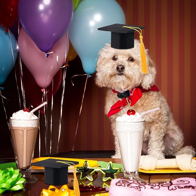 2 Pack Mini Graduation Caps with Yellow Tassels, Small Animal Bachelor Hats for Cats and Dogs, Adjustable Pet Graduation Photo Props and Holiday Costume Accessories