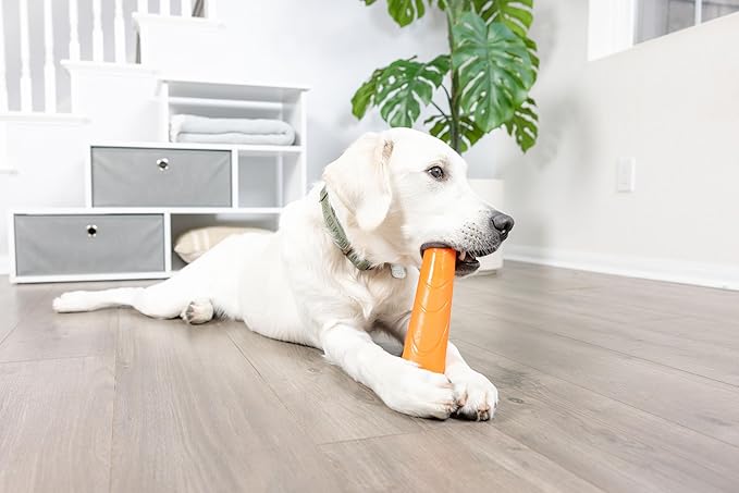 Chuckit! Super Crunch Fetch Stick Dog Toy - Durable TPR Material, Enticing Crunch Sounds, Compatible with Medium and Large Dogs, Mentally and Physically Engaging - 9.2 inches, for Breeds 20-100 lbs