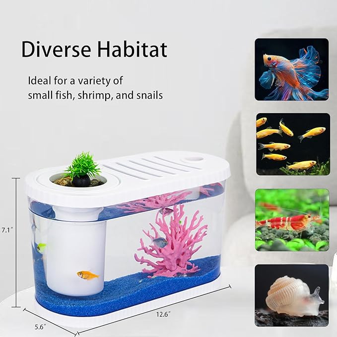 2.2 Gallon Fish Tank Kits,Small Aquarium Starter Kit,Nano Desktop Tank with Quiet Filter, Lid,Color-Changing Light&Decor for Betta Shrimp Guppy Jellyfish Goldfish Beta(12.6 * 7 * 5.6 Inch)