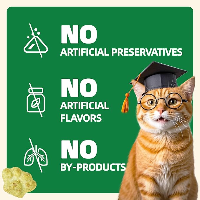 Wellix 13.05oz Organic Cat Grass Treats with Catnip & Salmon - Healthy Cat Treats for Indoor Cats - Hairball Control & Digestive Support - Kittens Training Snacks for Teeth Cleaning