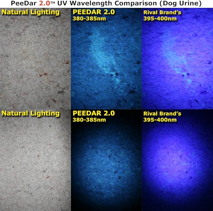 2.0 UV Pet Urine Detector Black Light LED Flashlight + Cat & Dog Behavior Guide. Ultra Bright Optimal 380-385NM Wavelength Finds Invisible Stains Instantly! Stop Pet Pee Issues Forever