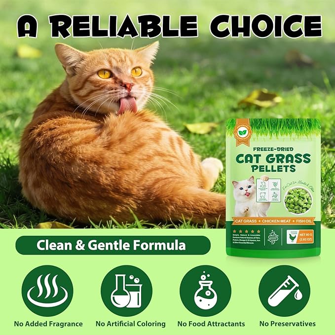 Cat Grass Treats, Freeze-Dried Cat Grass Pellets for Cats, 80g (2.82 OZ) | Natural Hairball Control, Digestive Support & Dental Care | Chicken & Fish Oil Recipe | No Artificial Additives