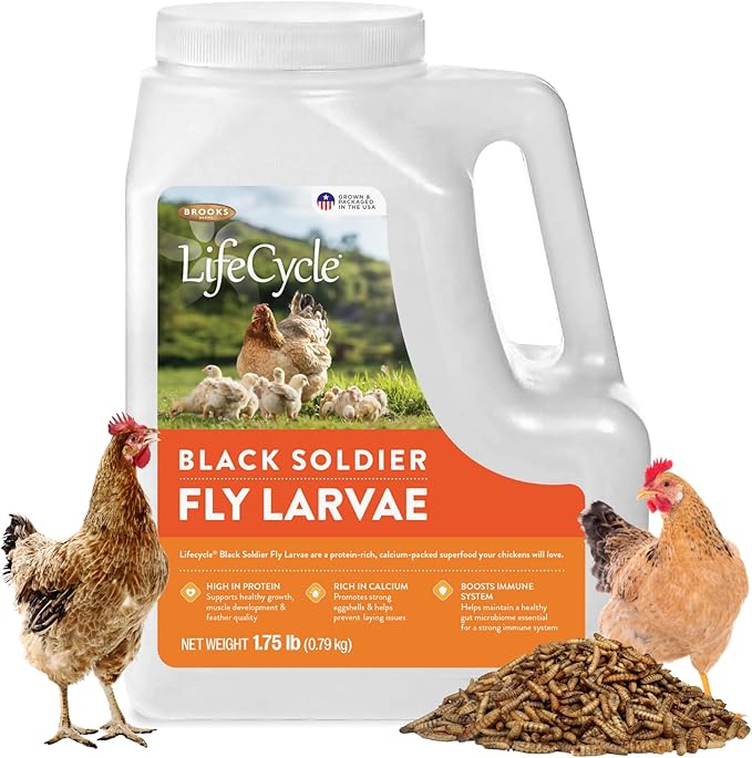 Black Soldier Fly Larvae Chicken Treats, Mealworms Alternative, Grubs for Chickens, High Calcium for Laying Hens, Made in USA, 1.75 lbs