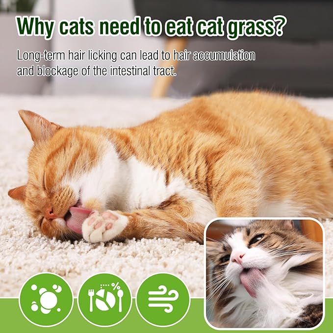 Cat Grass Teething Sticks, 3.52oz Edible Freezed Drying Cat Grass Treats, Cats Snacks for Hairball Removal and Dental Care M
