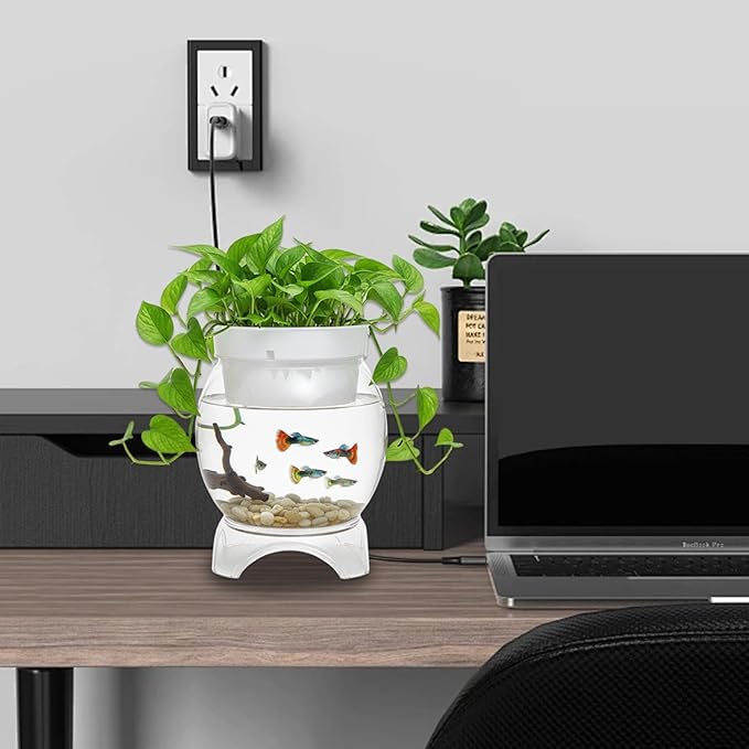 Aquaponic Fish Tank, 3-in-1 Clear Plastic Fish Bowl with Stand & Planter Healthy 1.5 Gallon Fishtank for Aquarium Plants, M Aquaponic Tank, Hydroponic, Small, Fishtank, F