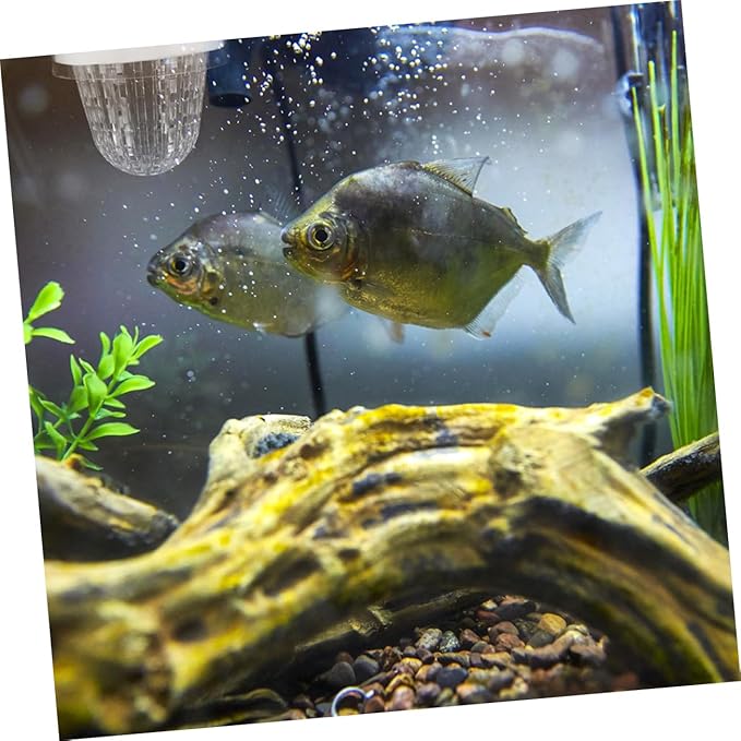 HEMOTON 2pcs Aquarium Fish Breeding Box Isolation Hatchery for Guppies Floating Design Easy Installation Versatile for Fish Tank