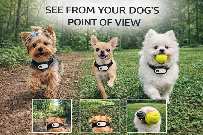 Dog Collar Camera 1080P HD – Dog POV Camera with 170° Wide Angle Lens, Mini Action Camera for Dogs, Video Recording with Micro SD Card, Lightweight Pet Body Cam (No WiFi)