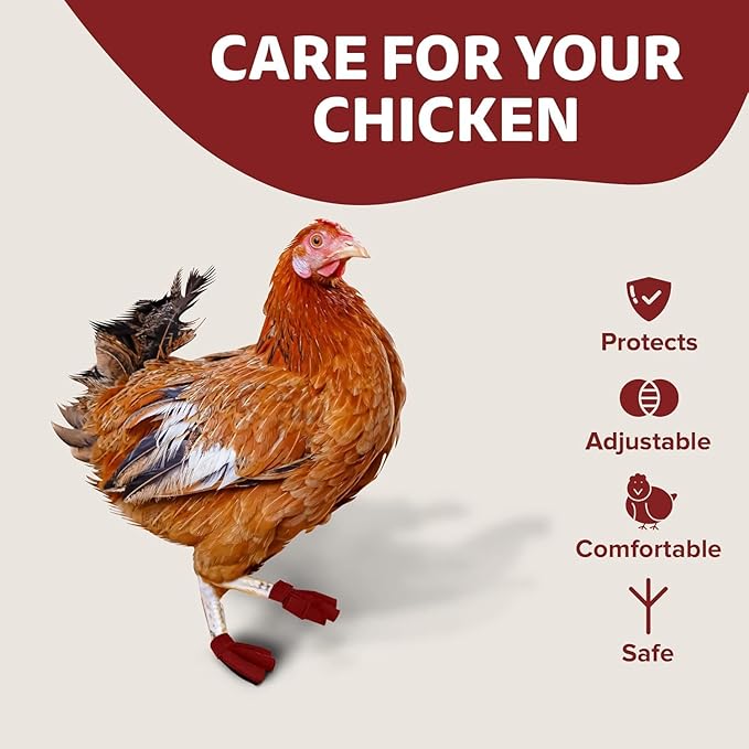 Chicken Shoes for Injured Feet – Protective Neoprene Footwear for Chicken, Open-Toe Design for Bumblefoot Relief, Made in USA (Chicken Shoes, Red, Medium Chickens)