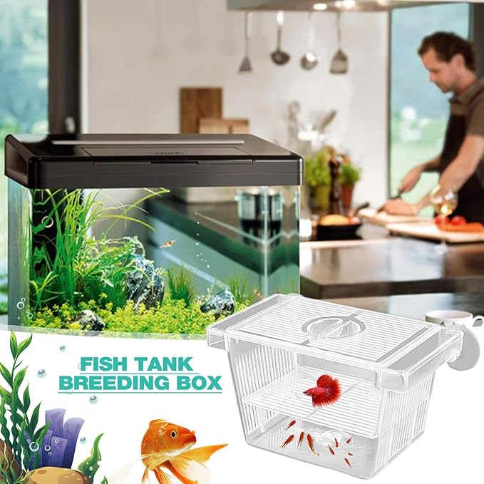 1/2 Fish Acclimation Box - Acrylic Hatchery Incubator Tank, Fish Breeder Box with 2 Suction Cups | Easily Install Breeding Isolation Box, Floating Breeding Box for Baby Fishes Shrimp Betta Guppy