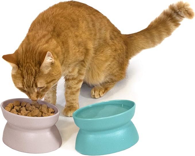 Kitty City Elevated Cat Bowls (Set of 2), Whisker-Friendly Raised Cat Food & Water Dishes, Modern Pedestal Design, Dishwasher Safe, 6.5 oz Each – Teal & Light Pink