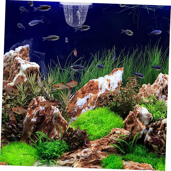 HEMOTON 2pcs Aquarium Fish Breeding Box Isolation Hatchery for Guppies Floating Design Easy Installation Versatile for Fish Tank