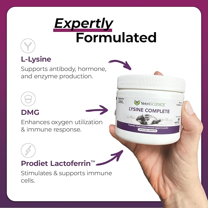 VetriScience Ultimate Strength Lysine Immunity Health Powder for Cats & Kittens, Supplement for Allergy & Nasal Support, Sneezing, Runny Nose & Watery Eyes, Chicken & Cheese Flavor, 60 Count -New Look