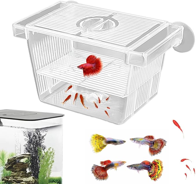 Fish Breeding Box - 20.5*9.5*9.9cm Acrylic Hatchery Incubator Tank Fish Tank Divider | Fishes Tanks Incubator Breeding Box | Aquarium Breeder BoxFish Acclimation Boxes Nursery For Injured Hatchery Inc