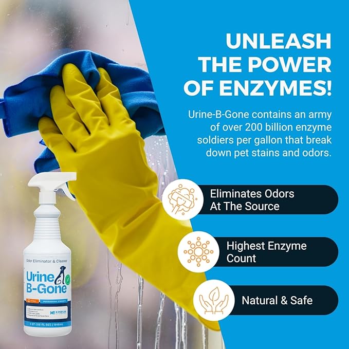 Urine B-Gone, Professional Enzyme Odor Eliminator & Pet Stain Remover, Human, Cat & Dog Urine Cleaner, Effective on Laundry, Carpets & More, Citrus Scent, 32oz