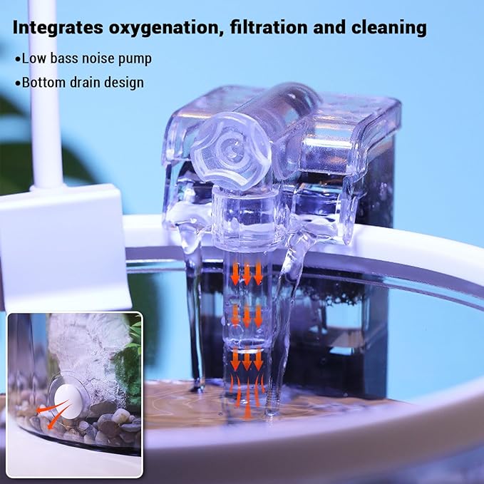 Small Fish Tank Starter Kit, 1.5 Gallon Plastic Shrimp Tank with Filter, LED Light, Fish Tank for Betta Fish, Guppy, Shrimp, Goldfish Beginner's Gift