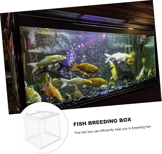 Sosoport Fish Breeding Tank Box Incubation Box Mesh Practical Breeding Incubator for Home Aquarium