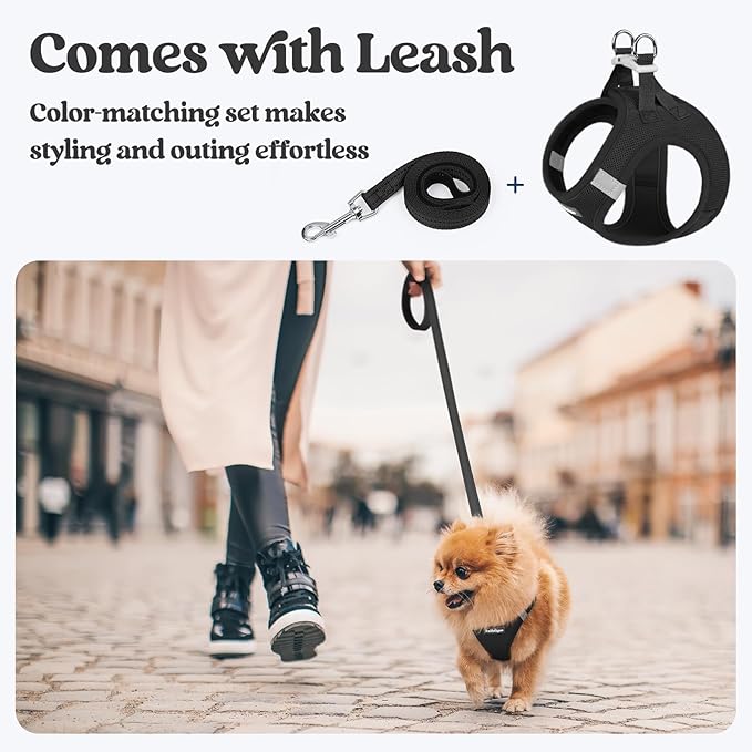 rabbitgoo Dog Harness Small Sized and Leash Set, Step in Soft Light Puppy Vest, Breathable Mesh Pet Harness, Reflective for Safe Easy Walking, Black XS