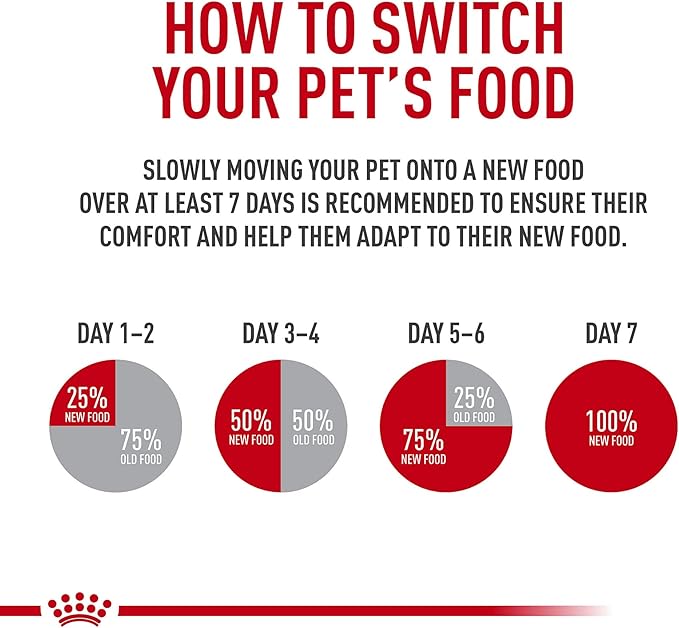 Royal Canin Feline Care Nutrition Appetite Control Care Adult Dry Cat Food, 6 lb Bag
