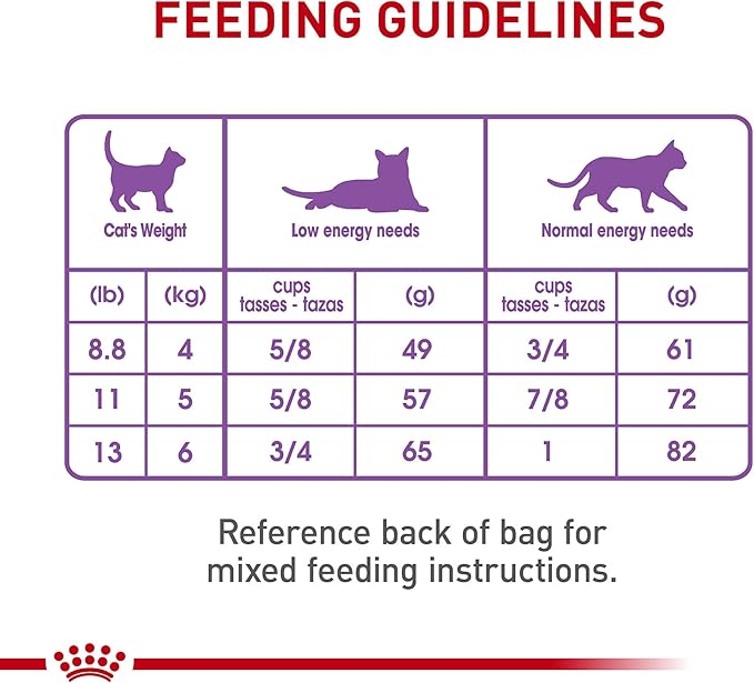 Royal Canin Feline Care Nutrition Appetite Control Care Adult Dry Cat Food, 6 lb Bag