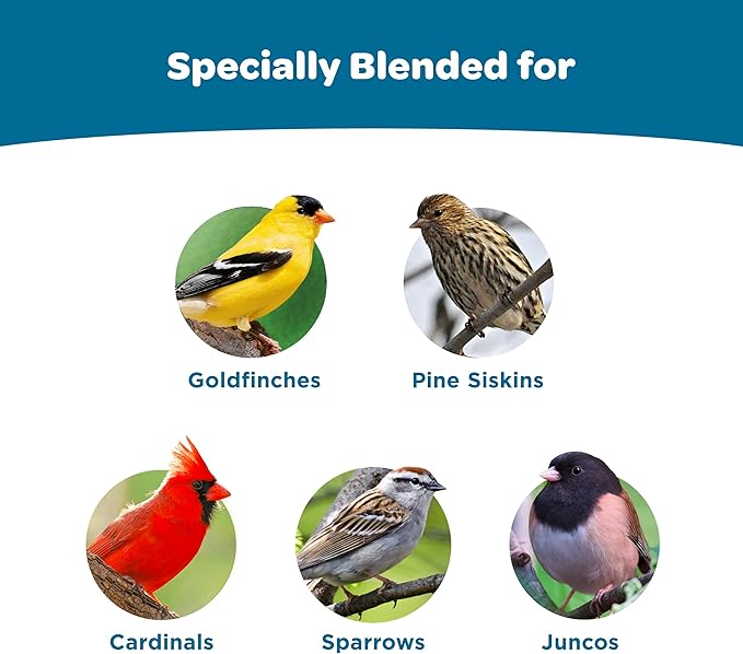 Kaytee Smart & Small Feeder Refill, Ideal Wild Bird Food for Smart Feeders, 2 Pounds, 6 Count
