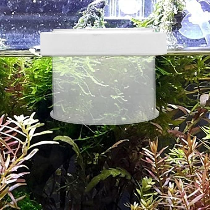 VANZACK Acrylic Fish Breeding -Sized Isolation Tank for Fry Acrylic Separator for Aquarium Fish Breeder Improved Survival Rate