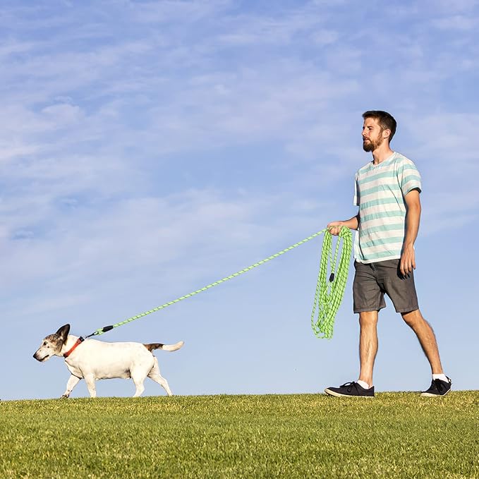 Long Dog Leash for Training 15Ft-Reflective Nylon Rope with Swivel Hook-Recall Agility Lead for Large Small Medium Dogs Outside Walking Hiking-Green Diam 1/2"