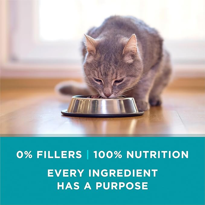 Purina ONE Natural High Protein Cat Food, Chicken Recipe in Wet Cat Food Gravy - (Pack of 24) 3 oz. Pull-Top Cans