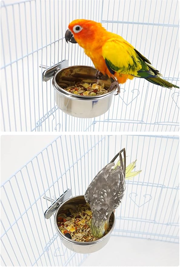 4 pcs Bird Feeding Dish Cups, Parrot Stainless Steel Food Bowl Cage Water Feeder with Clamp Holder for Parrots Cockatiel Budgies Lovebird Parakeet Feeding Cups with 4 Spoon