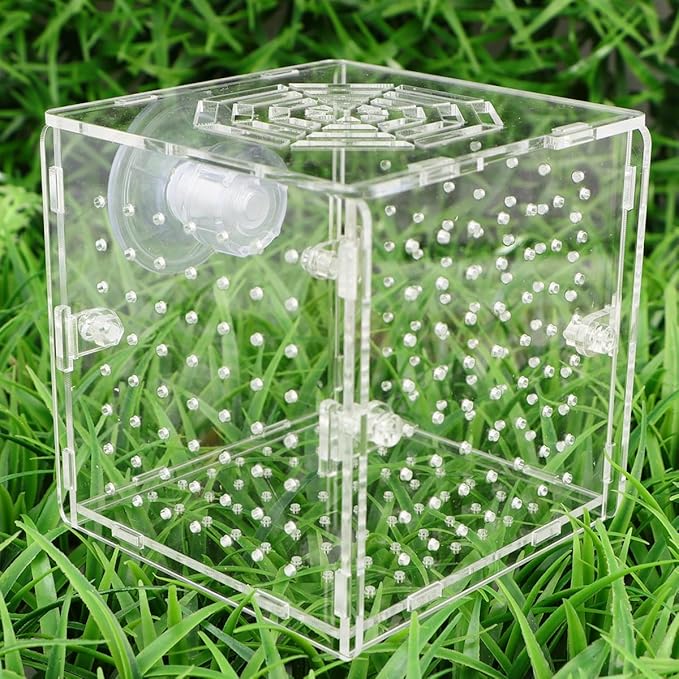 Acrylic Fish Breeding Tank with 2mm Round Hole Suction Cups 10x10x10cm Isolation Box for Aquarium Fish Hatchery and Fry Nursery