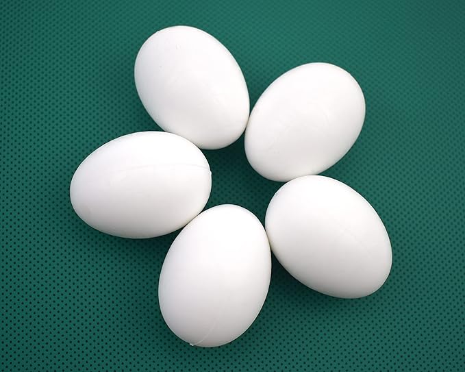 10 Pieces Pigeon Eggs Solid Plastic Eggs for Hatching Help Limit Births Laying Pigeon Agricultural Tool Poultry