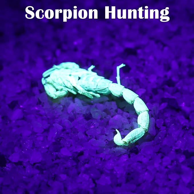 S5 UV Flashlight, Black Light Flashlight with 5 LEDs, for UV Resin Curing, Rockhounding, Pet Urine Detecting, Scorpion Hunting (385NM)
