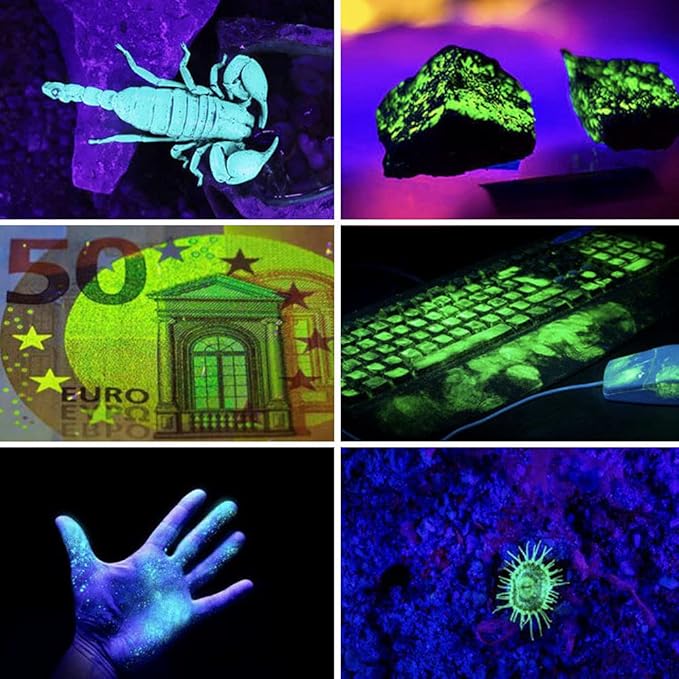 LED 365nm Pro Flashlight Blacklight, Portable Rechargeable Black Light with 4 Best LEDs for Pet Urine Detection, Dry Stains