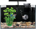 Betta Fish Tank, 2.5 Gallon Nano Nature Aquarium Starter Kit, Ultra-Clear Rimless Desktop Fish Tank with Light, Filter, Gravel and Rock, Aquarium Perfect for Small Fishes, Black