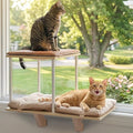 PETSFIT Cat Window Perch,Dual-Level Hammock with Suction Cups & Wooden Base, Supports Large Cats & Multi-Cat Families, Reversible Cushions, Tool-Free Installation